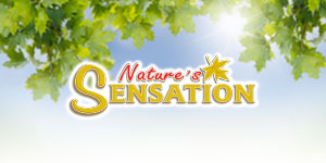 Natures Sensation Natures Sensation