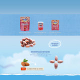Bluedimond_home_product01_03