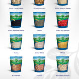 Brochure HT_Blue 220714_4