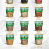 Brochure HT_Gold 220714_3